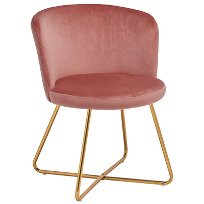 Alexa Pink Velvet Accent Chair, Set of 2
