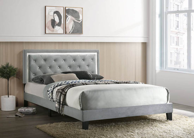Passion Gray Twin Platform Bed